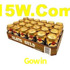 Premium Interface Gowin