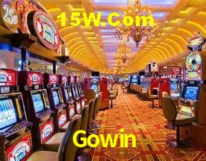Ofertas Exclusivas Gowin